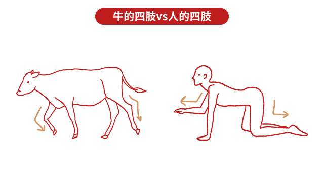 20250502 牛下樓梯官網_工作區域 1 複本.jpg