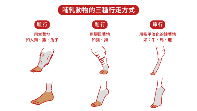 20250502 牛下樓梯官網_工作區域 1 複本 2.jpg