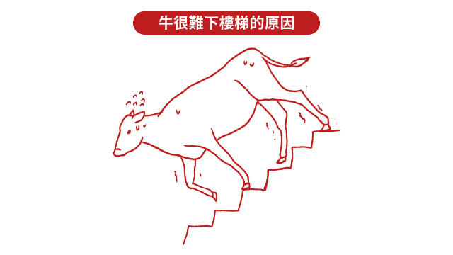 20250502 牛下樓梯官網_工作區域 1 複本 3.jpg