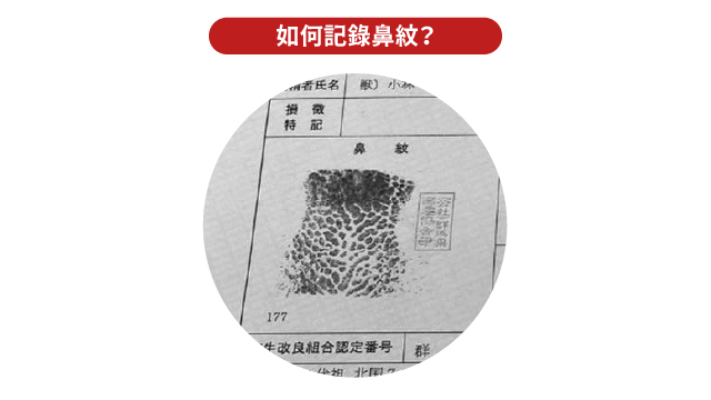 20250504 和牛鼻紋_工作區域 1 複本 2.jpg