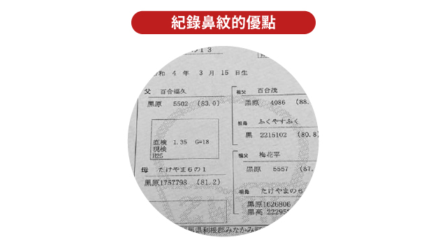 20250504 和牛鼻紋_工作區域 1 複本 3.jpg