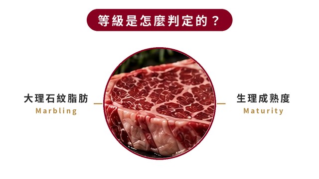 1790674105107628.jpg 02-how-usda-grading-works-1.jpg