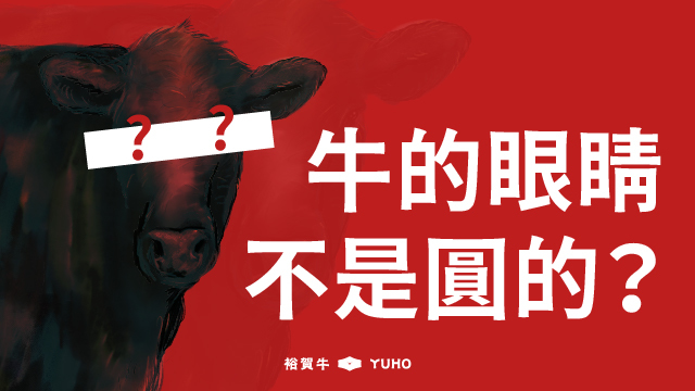 牛的眼睛不是圓的？