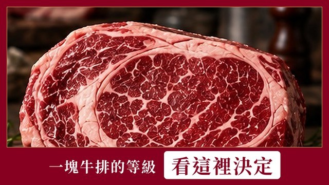美國牛肉分級全攻略：從極佳級到可選級一次搞懂